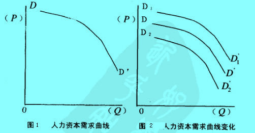 Image:人力資本需求曲線.jpg