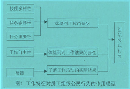 Image:圖1 工作特征對員工組織公民行為的作用模型.jpg