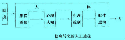 信息轉(zhuǎn)化的人工途徑