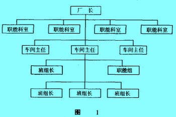 Image:直線職能式組織結(jié)構(gòu).jpg