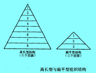 Image:高長型與扁平型組織結(jié)構(gòu).jpg