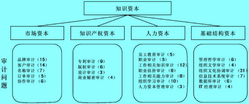 安妮·布魯金的智力資本審計(jì)測量模型