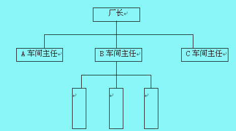 直線型組織結(jié)構(gòu)