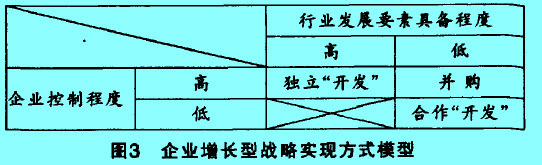 Image:企業(yè)增長(zhǎng)型戰(zhàn)略實(shí)現(xiàn)方式.jpg