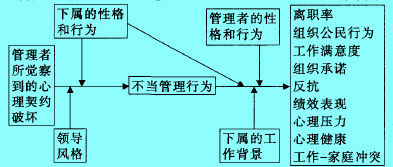 不當(dāng)管理前因后因變量模型