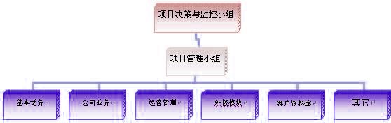 項目小組的組織架構(gòu)建議