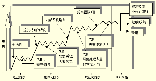 組織生命周期