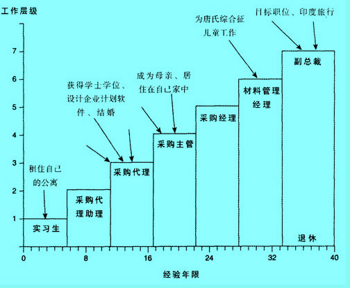 Image:傳統(tǒng)的職業(yè)通道.jpg