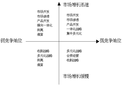 大戰(zhàn)略矩陣圖示