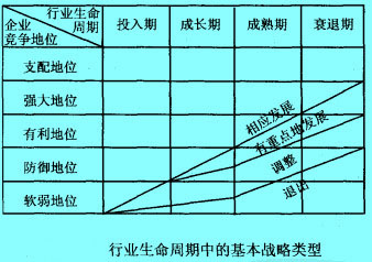 行業(yè)生命周期中的基本戰(zhàn)略類(lèi)型