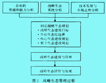 戰(zhàn)略生態(tài)管理